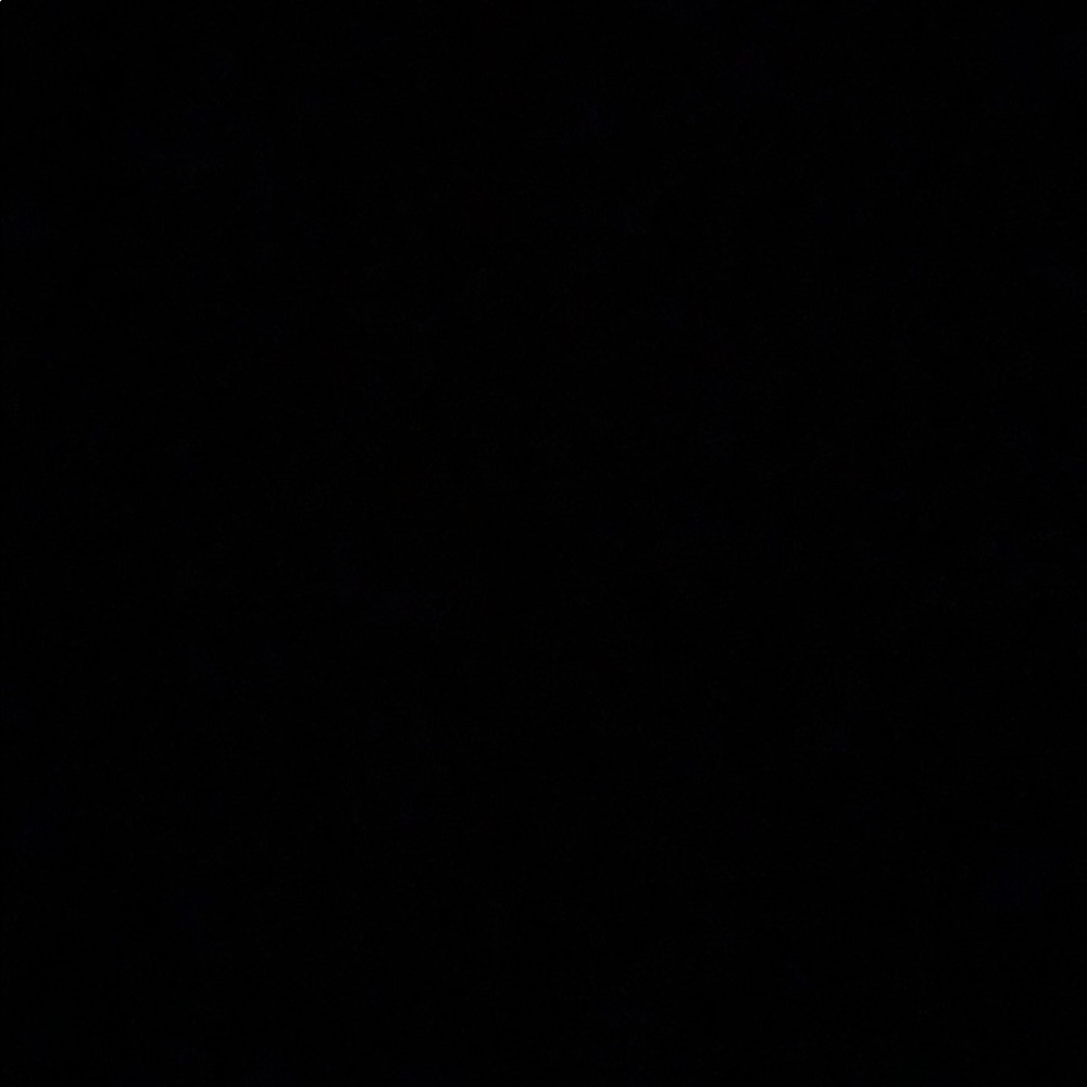 Meet your Posher, Ava